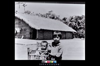 藏品(照片)的圖片