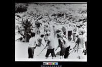 藏品(照片)的圖片