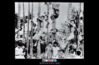 藏品(照片)的圖片