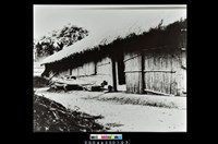 藏品(照片)的圖片