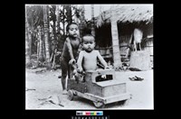 藏品(照片)的圖片