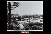 藏品(照片)的圖片