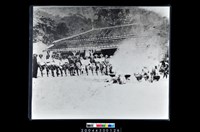 藏品(照片)的圖片