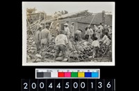 藏品(照片)的圖片