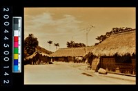 藏品(照片)的圖片