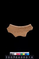 藏品(腹片)的圖片