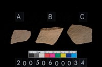 藏品(方格印紋腹片)的圖片