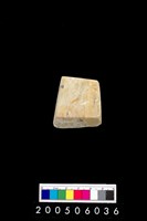 藏品(玉錛)的圖片