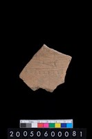 藏品(腹片)的圖片