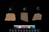 藏品(腹片)的圖片