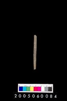 藏品(石針)的圖片