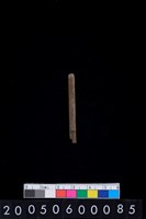 藏品(石針殘片)的圖片