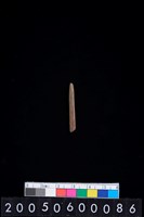 藏品(石針)的圖片