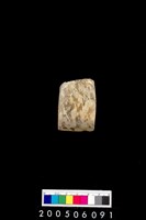 藏品(石錛)的圖片