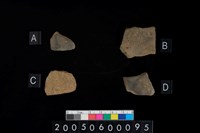 藏品(腹片)的圖片