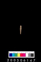 藏品(海膽棘刺)的圖片