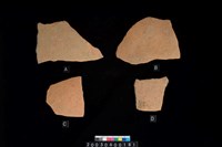 藏品(腹片)的圖片