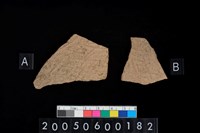 藏品(腹片)的圖片