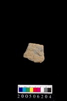 藏品(腹片)的圖片