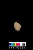 藏品(腹片)的圖片