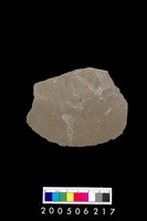 藏品(刮削器)的圖片