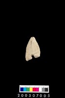 藏品(玉鏃)的圖片