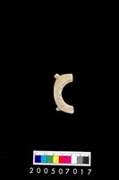 藏品(帶四突起環狀玦形耳飾)的圖片