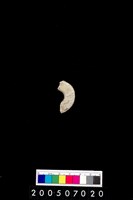 藏品(環狀玦形耳飾)的圖片