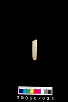 藏品(玉管)的圖片