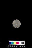 藏品(石錢)的圖片