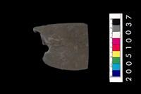藏品(石矛殘件)的圖片