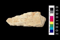 藏品(石矛殘件)的圖片