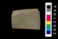 藏品(石錛)的圖片