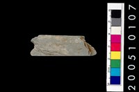 藏品(磨製石器)的圖片