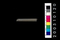 藏品(石針)的圖片