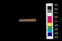 藏品(石針)的圖片