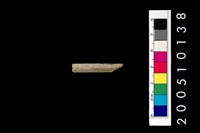 藏品(石針)的圖片