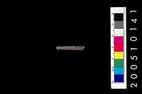 藏品(石針)的圖片