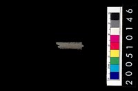 藏品(石針)的圖片