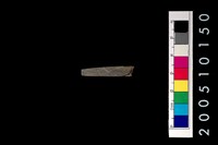 藏品(石針)的圖片