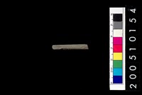 藏品(石針)的圖片