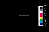 藏品(石針)的圖片