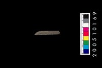 藏品(石針)的圖片