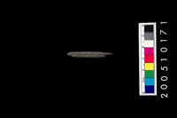 藏品(石針)的圖片