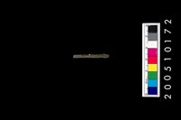 藏品(石針)的圖片