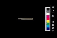 藏品(石針)的圖片