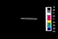 藏品(石針)的圖片