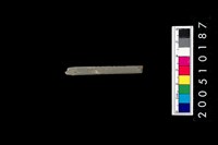 藏品(石針)的圖片