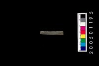 藏品(石針)的圖片