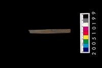 藏品(石針)的圖片